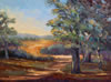 Dusk Forest